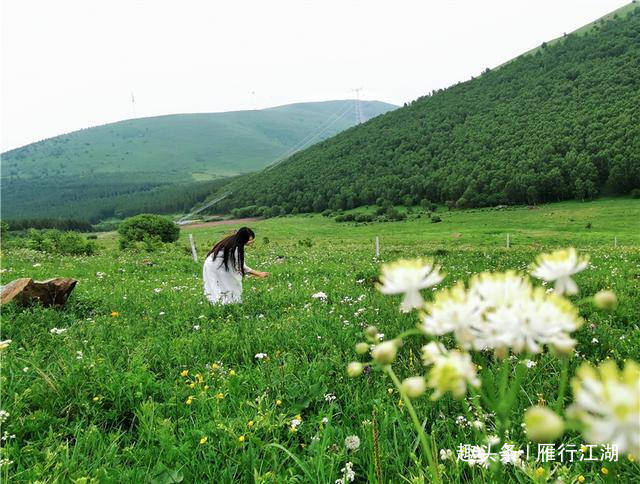 春天来河北赏花，京北第一天路100公里的赏花秘境，风景美不胜收