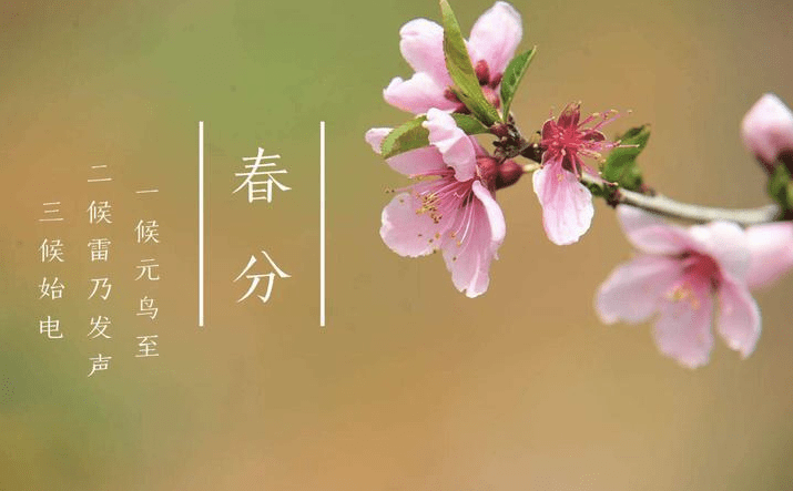 7df8619fa4d248ec861641fb2311e1e4.png