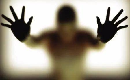 星华反光IPO:携斑斑劣迹再闯A股 九鼎系核心旧部潜伏(图3)