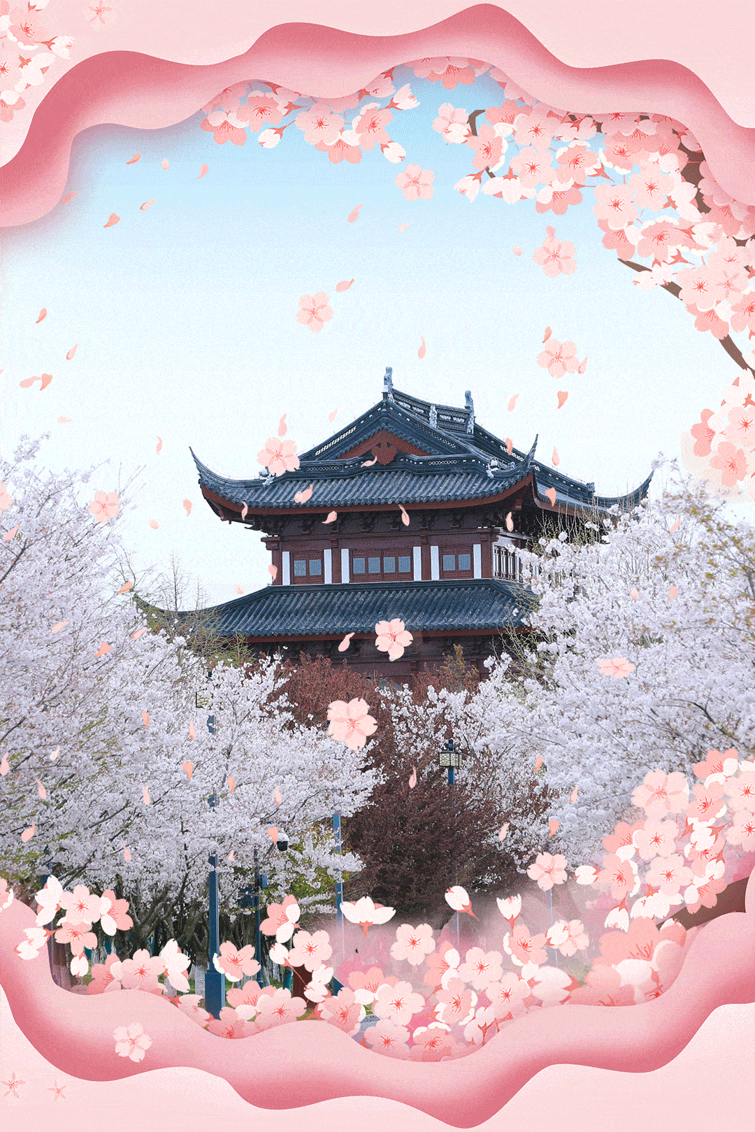 2021大洋湾国际樱花月暨第七届樱花节即将启幕，邀您共谱浪漫之旅！