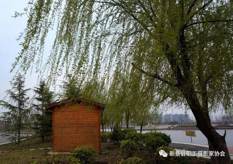 新蔡南湖公园图片