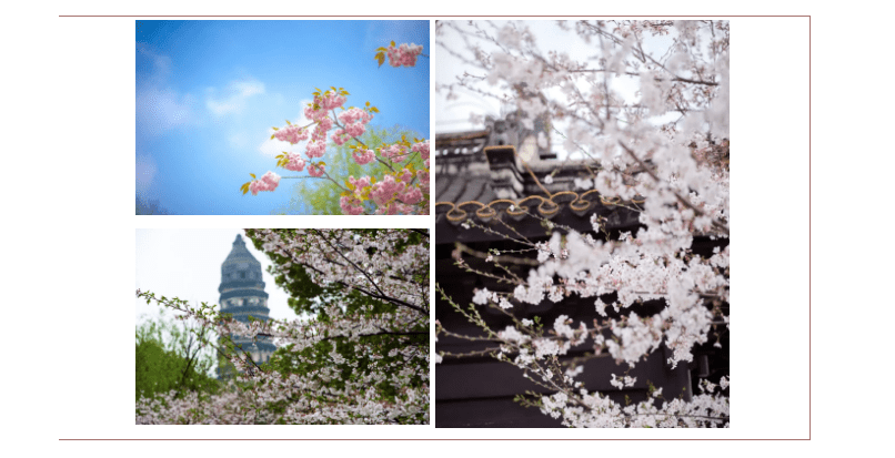 风日晴好，江苏文化和旅游市场喜迎周末“小阳春”