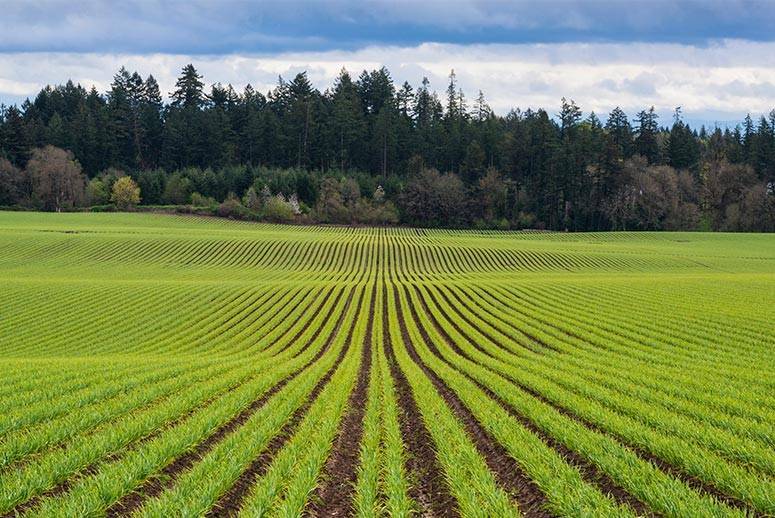 智慧农业解决方案下乡将新it下沉到田间地头