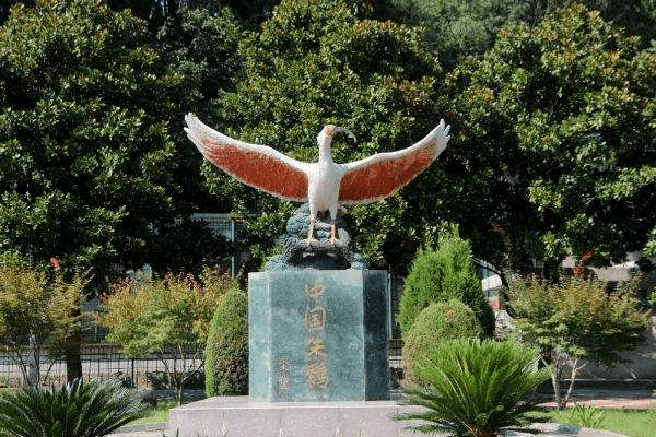 珍贵的"东方宝石"——朱鹮_洋县