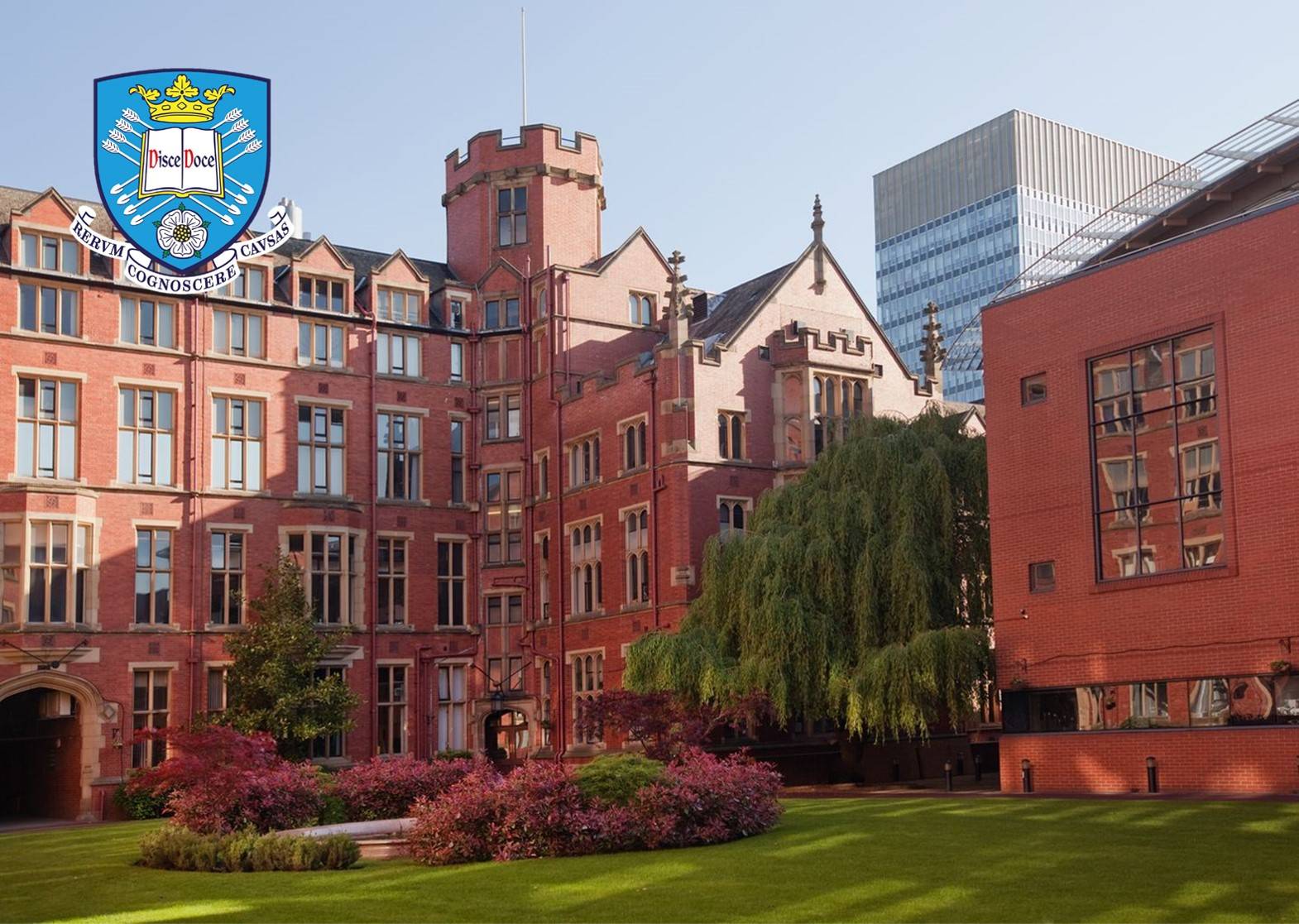 谢菲尔德排名_碧蓝航线谢菲尔德(2)