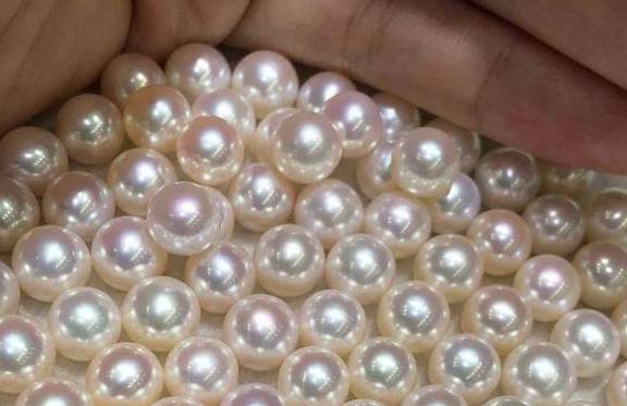三亚旅游，导游极力推荐游客买珍珠，提成高达65%，真是暴利