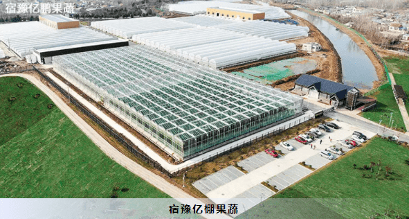 建设|【江苏绿港】智能玻璃温室打造现代农业典范！