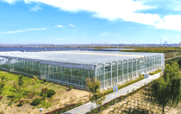 建设|【江苏绿港】智能玻璃温室打造现代农业典范！