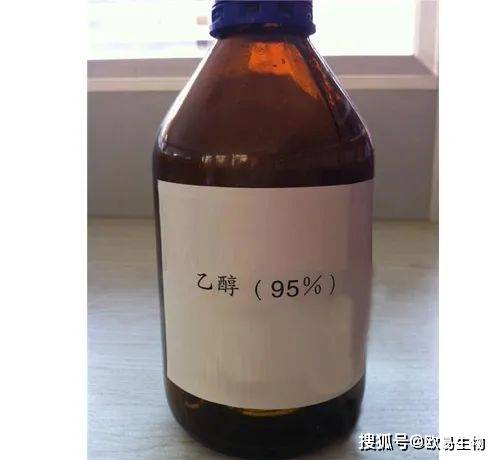 敲警钟实验室12大危险物质需谨慎