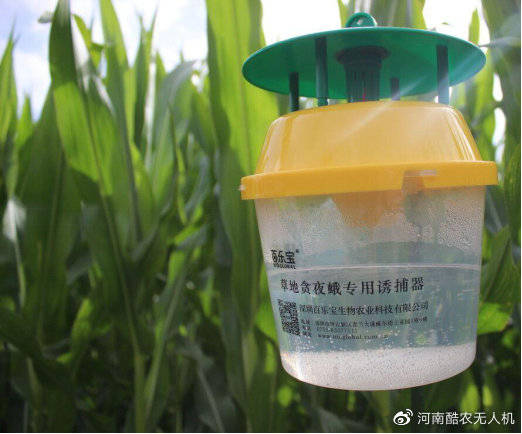 保护利用夜蛾黑卵蜂,半闭弯尾姬蜂,淡足侧沟茧蜂等寄生性天敌和益蝽