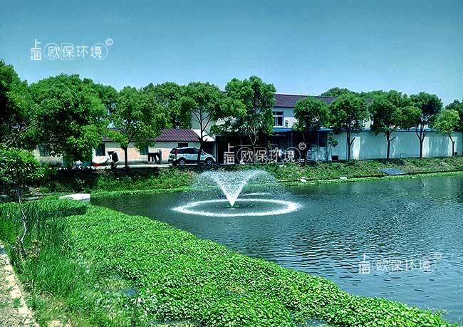 循环|超大流量提水式曝气机