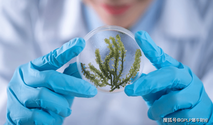 远达环保2020年业绩降76% 收入大幅下降