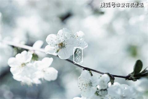 366d01eefd154000925892f8ead9ef8d.jpeg