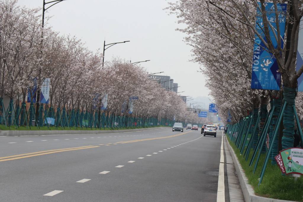 凤滁路位于南京市江北新区顶山街道,南北走向,南起于镇南河路,北止于