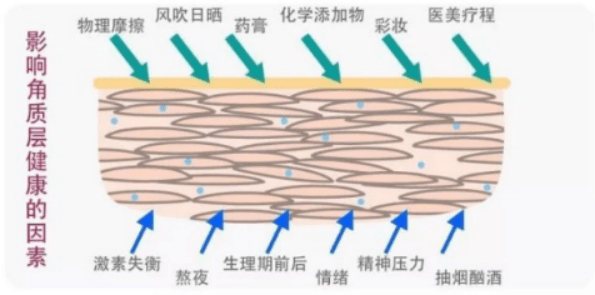 97633f1c0f4f4d98840b3c8058b0d63b.png