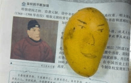 朋友们,你们自己看,我买的芒果和朱元璋长得像不像?