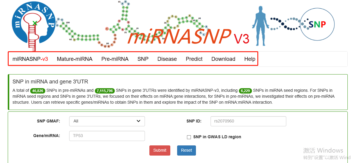 新手攻略 | 针对基因不同位置SNP该如何研究？_位点