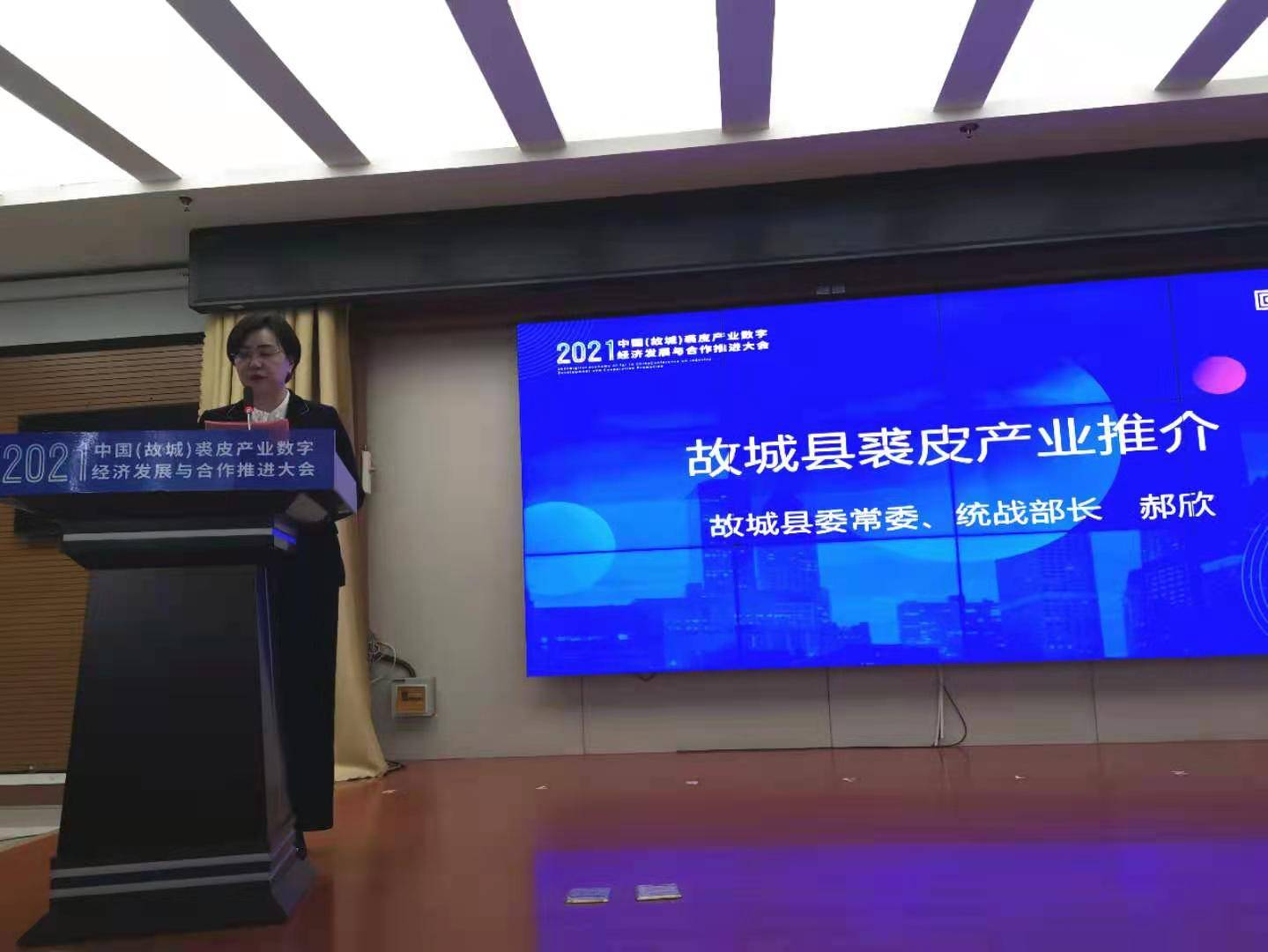 故城县经济生产总量_故城县地图