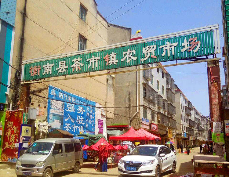 湖南衡阳衡南县城东部一个镇，面朝耒水，因盛产油茶而得名