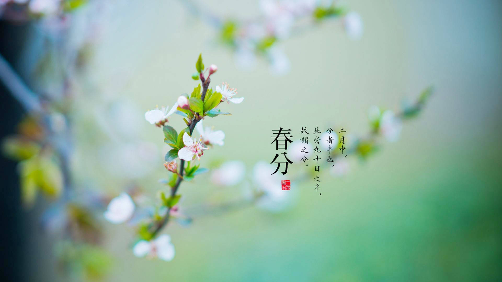 春分丨仲春初四日·春色正中分_患者