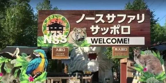 世界最“危险”的动物园，进去要签生死状，可以和老虎狮子互动！