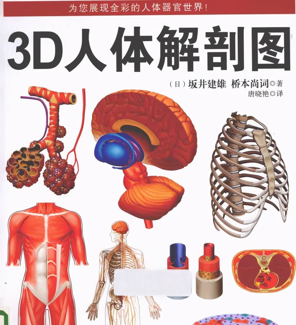 3d人体解剖图 彩色 带书签_手机搜狐网