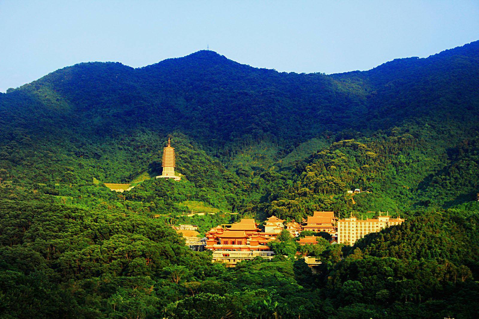 深圳一座门票免费的寺庙,依山拾级而建,对公众开放_旅游