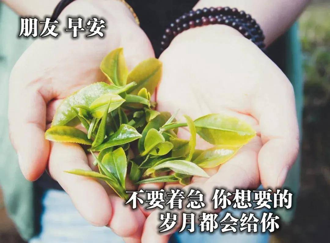 原创2021年3月22日星期一清晨早上好问候祝福动态表情图片带字温馨