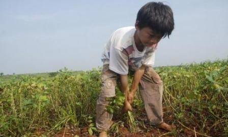 草什么门成语_草什么花什么成语