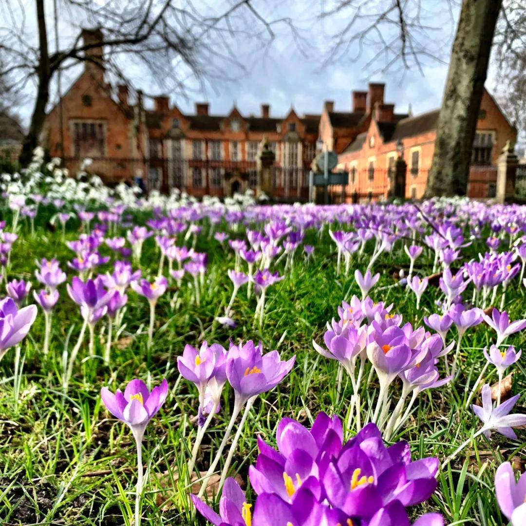 2021年英国的春天回来了