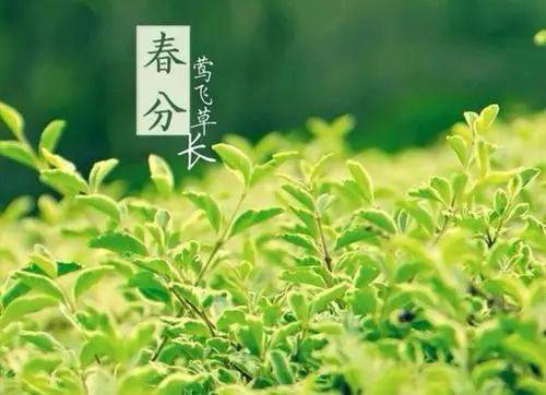 什么时间开始白天越来越长 1375d527586b46f9902915ac2d08d66a.jpeg