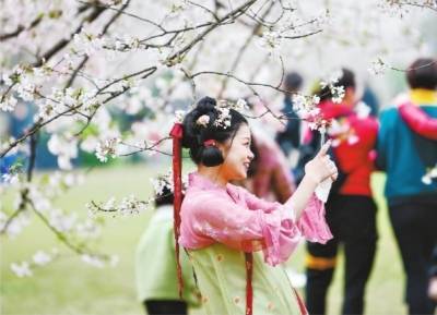 因樱花季成旅游热门目的地，武汉文旅市场迎来“开门红”