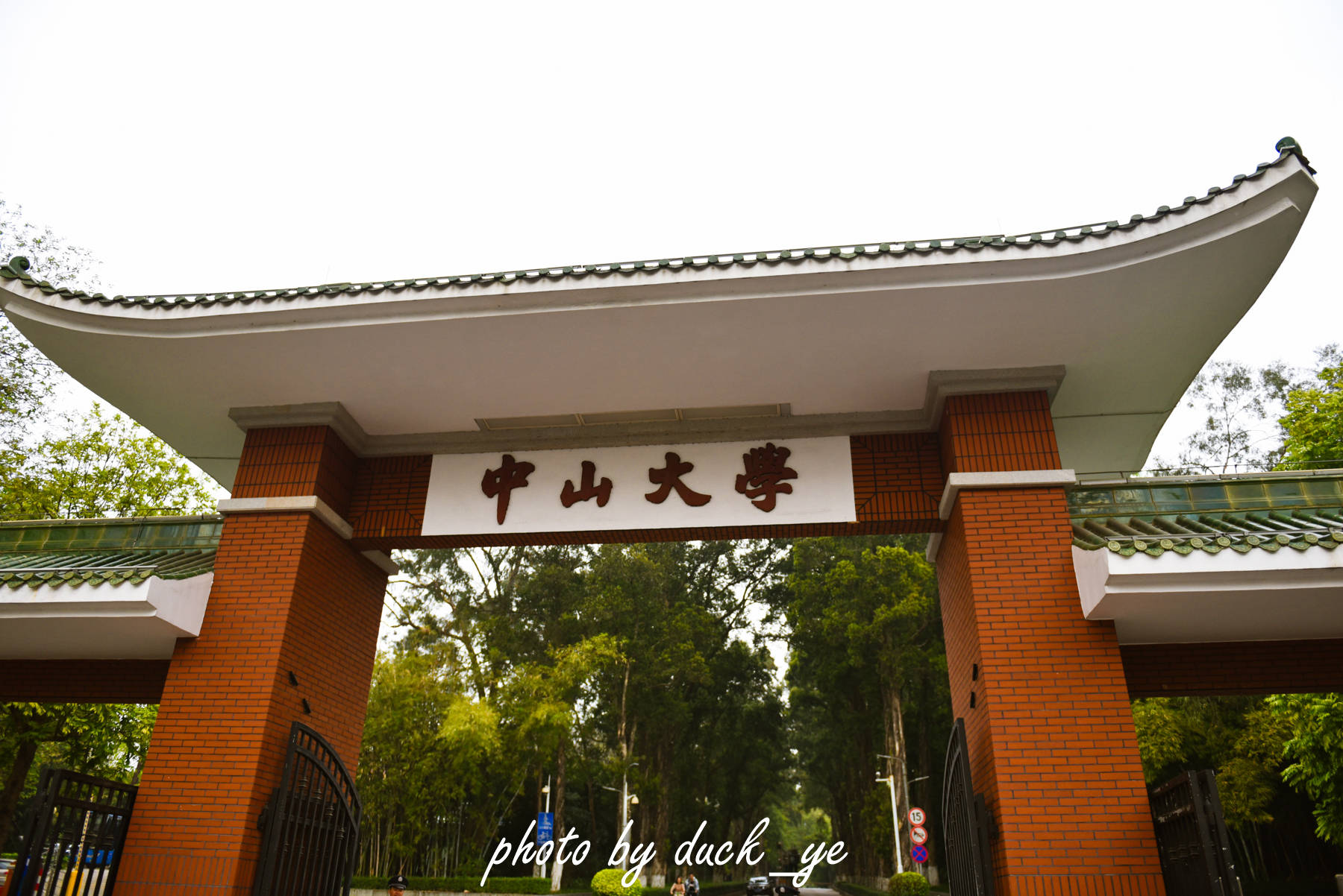 广州中山大学康乐园，老建筑古韵悠然，低调且美好！
