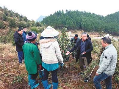 荔波:春回大地苏万物 科技培训益林农