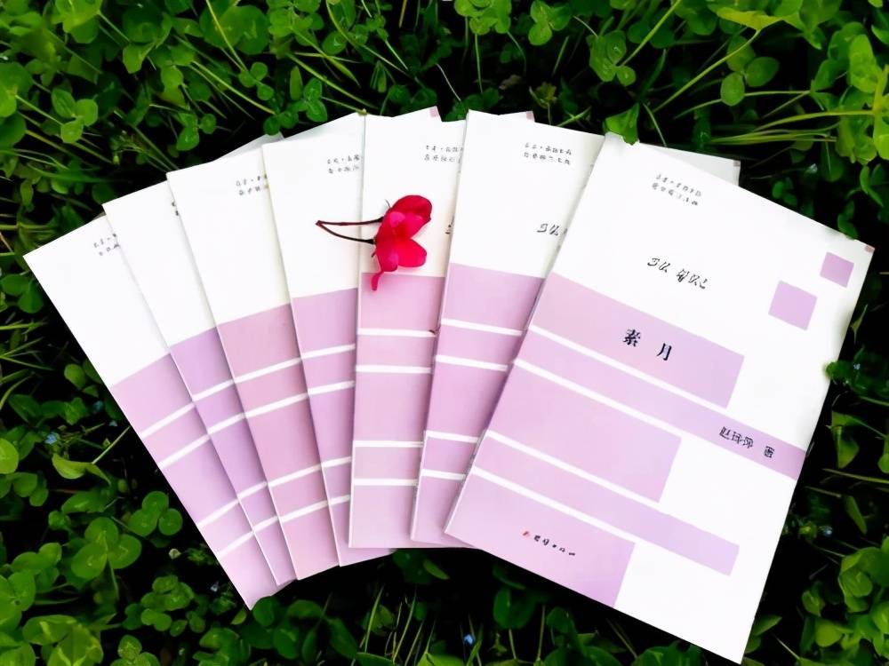 赵玲萍诗集《素月》出版发行