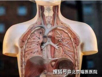 肺癌疼痛的位置图图片