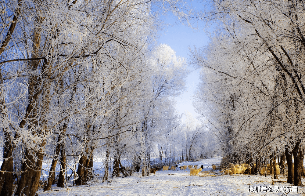 绿水青山丨新疆托里：当春天遇见白雪