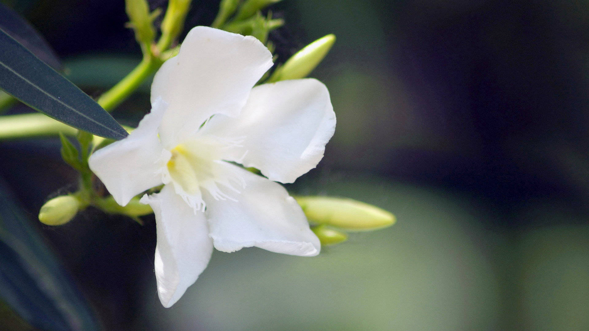 3月22日 28日星座运势 金牛座深思熟虑 双鱼座不留遗憾 未来