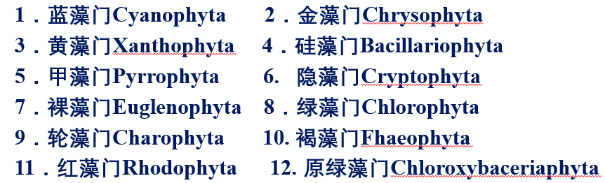 藻类是低等植物吗 藻类的分类与进化 真核域