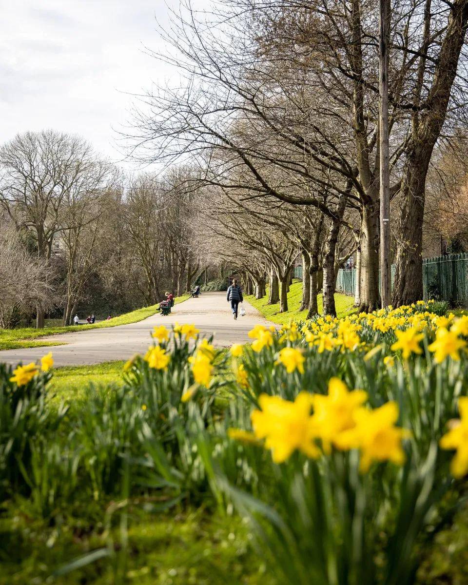 2021年英国的春天回来了