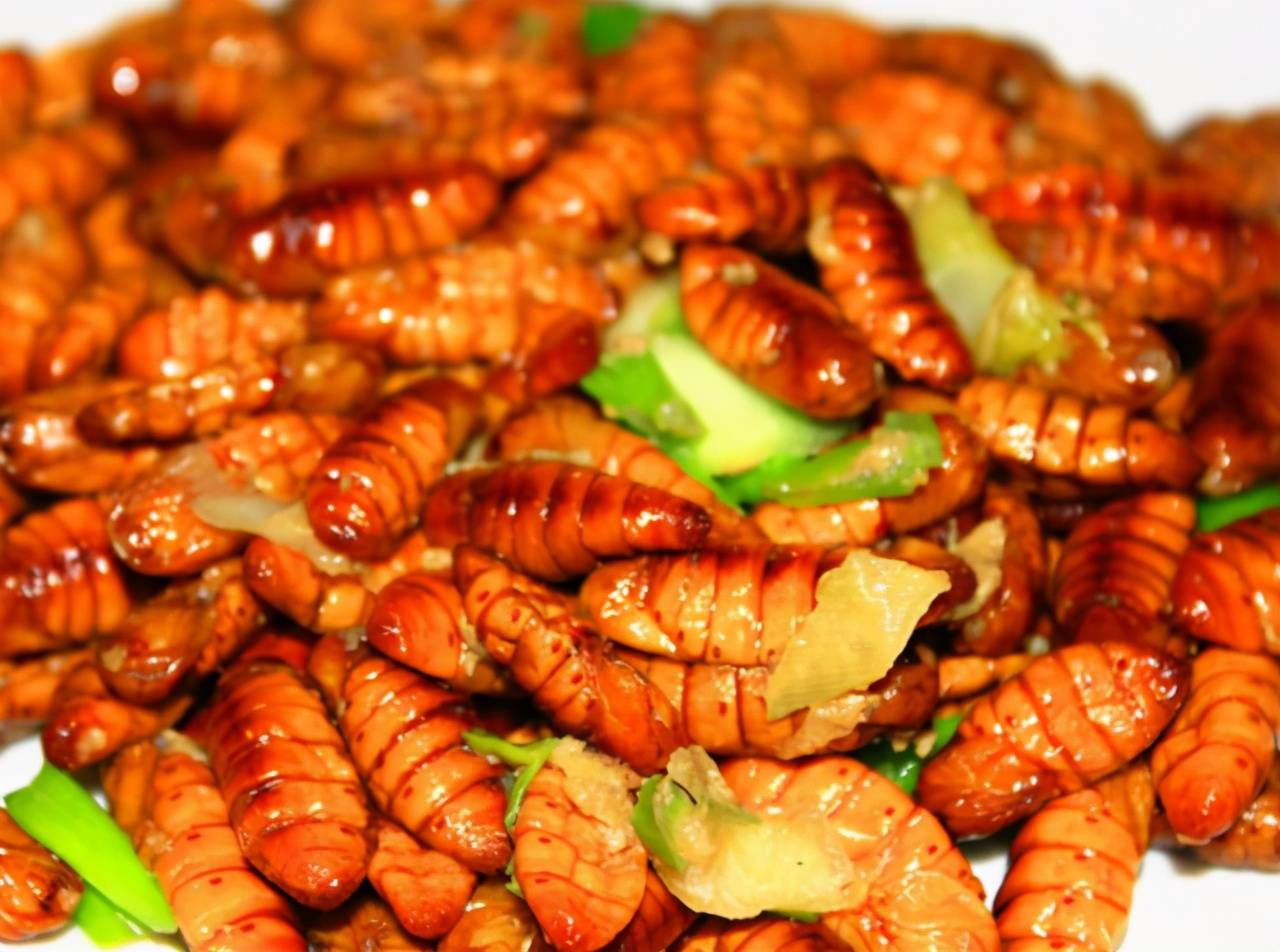 买蚕蛹 黄的黑的哪个好 认准这3点 蚕蛹新鲜营养足 好吃 颜色