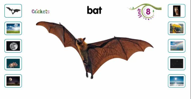 Crickets幼儿英语一级八单元单词卡 About