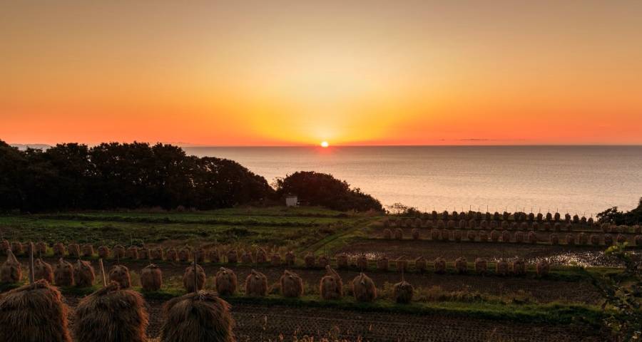 红4月家电企业还在酝酿一轮新的涨价-家电圈官网
