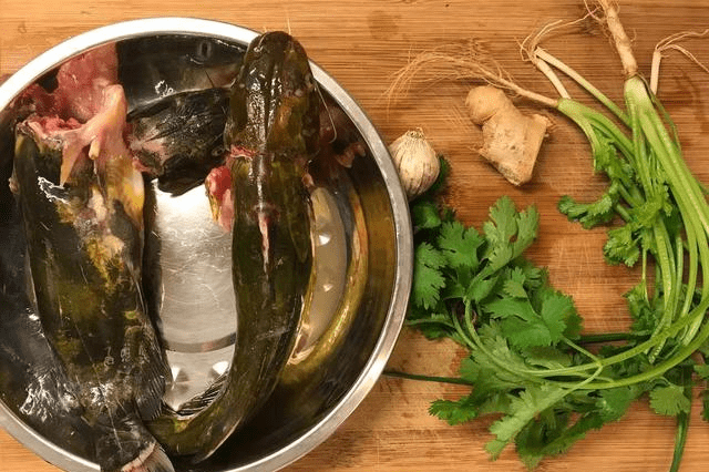 如何杀黄骨鱼视频 3567b42c960a41cbbf7ee0a5ef239959.png