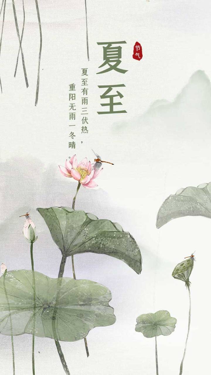 夏至 蝉始鸣 半夏生 文化