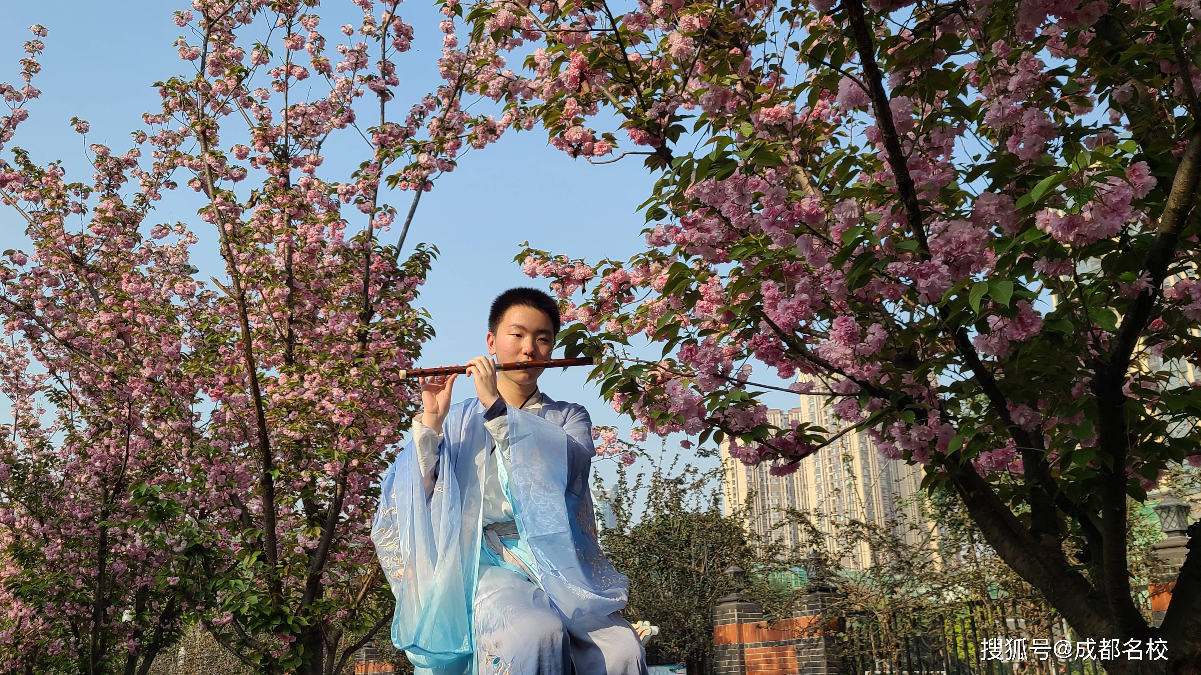 阳春三月，列五少年在樱花大道上，铺开了汉代古韵的卷轴！