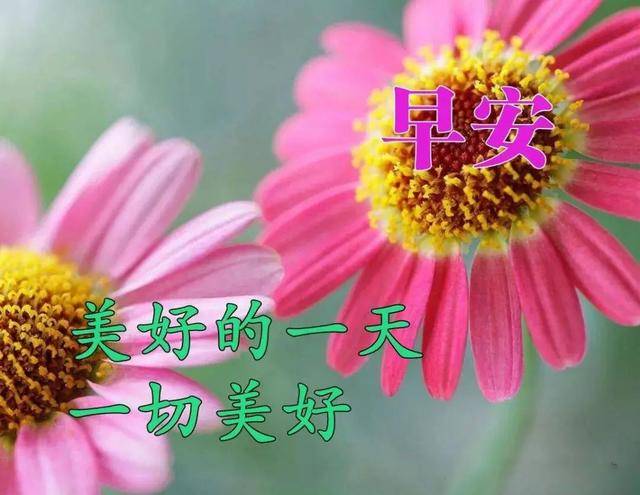 怎么让自己的心变大变宽 9d036c726cf346e4805eb65ddccdd714.jpeg