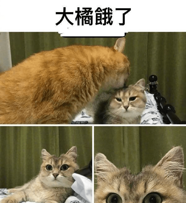 b1830c838b194b1b8c451e2e0538d599.png