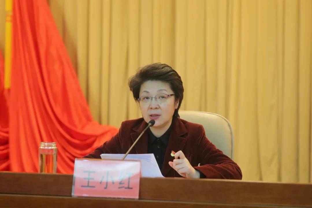 盐城市委常委,市纪委书记,市监委主任王小红出席并作动员讲话