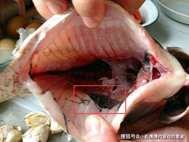 用什么方法可以去除鱼身上的粘液 a9aee6c0d6e741448e43e59795da8917.jpeg